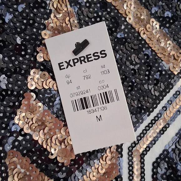 Expresss Sequined Dress